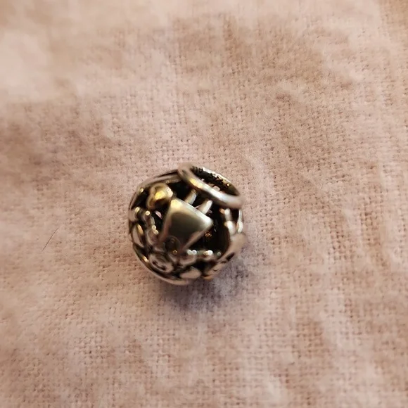 Pandora Family Forever Charm - Picture 4 of 9